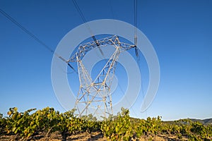 Tower of high-voltage cables between fields of vineyards