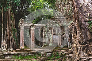 Tower, huge trees and galleries in Preah Khan Temple