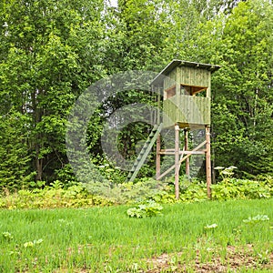 A tower for hunting in the forest