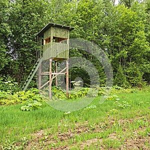 A tower for hunting in the forest