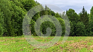 A tower for hunting in the forest