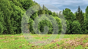 A tower for hunting in the forest