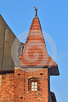 Tower Koenigsberg Cathedral. Kaliningrad, Russia