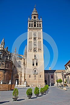 Tower La Giralda of Cathedral in Seville, Spain.