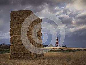 The Tower and the Lighthouse