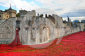 Tower of London with sea of Red Poppies to remember the fallen soldiers of WWI - 30th August 2014 - London, UK