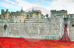 Tower of London with sea of Red Poppies to remember the fallen soldiers of WWI - 30th August 2014 - London, UK