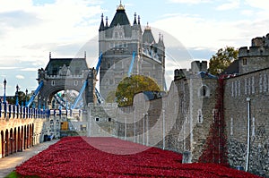 Tower of London with sea of Red Poppies to remember the fallen soldiers of WWI - 30th August 2014 - London, UK