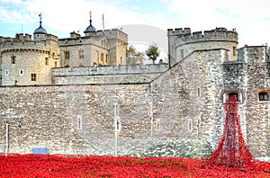 Tower of London with sea of Red Poppies to remember the fallen soldiers of WWI - 30th August 2014 - London, UK