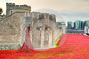 Tower of London with sea of Red Poppies to remember the fallen soldiers of WWI - 30th August 2014 - London, UK