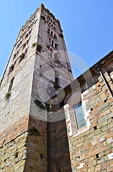 Tower of Lucca