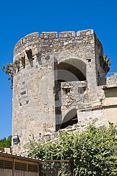 Tower of Matilde of Canossa. Tarquinia. Lazio. Ita