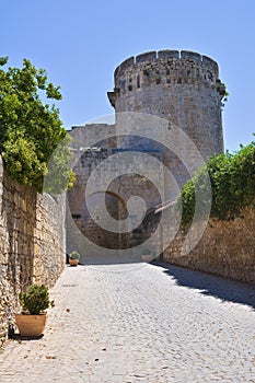 Tower of Matilde of Canossa. Tarquinia. Lazio. Italy.