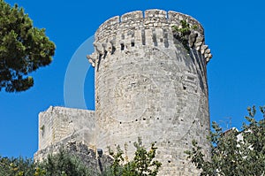 Tower of Matilde of Canossa. Tarquinia. Lazio. Italy.