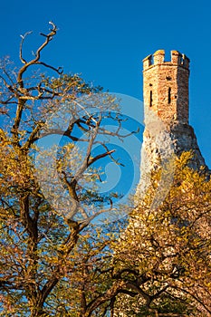 Tower of Medieval Castle Devin.