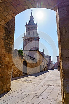Tower of the medieval cathedral of the Unesco city of Burgo de Osma, Castilla y Leon.