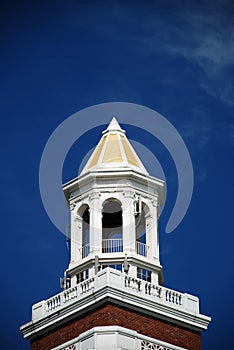 Tower in Navy pier