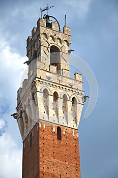 The tower of Palazzo Pubblico on Piazza del Campo in Siena, Italy