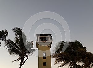 Tower and palm trees in La Guancha in Ponce, Puerto Rico photo