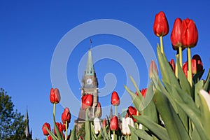 Tower with Red & White Tulips