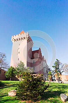 Royal castle of Poznan