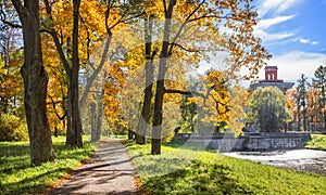 Tower-Ruin and alley  in Tsarskoe Selo