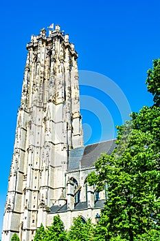 The tower of Saint Rumbold`s Cathedral beyound green tree leaves in Mechelen, Belgium