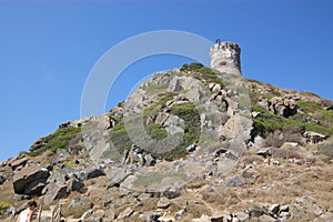 Tower on Sanguinary Islands