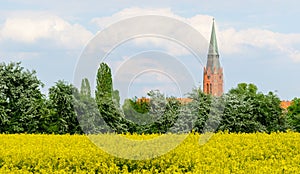 Tower of St. Martin in Nienburg photo