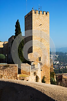 Tower of Suda castle in Tortosa photo