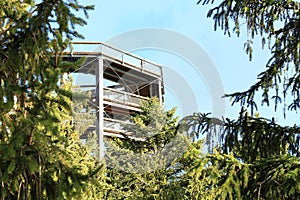 Tower of The trail trees Lipno Lookout