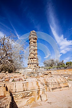 Tower of Victory Vijay Stambha in Chittor fort. Chittorgarh