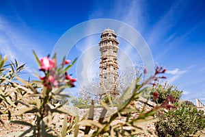 Tower of Victory Vijay Stambha in Chittor fort. Chittorgarh