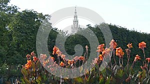 Tower of Vienna Rathaus on the background of flowers in park