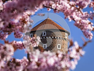 Tower of the Wawel Castle in flowers, Krakow, Poland