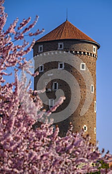 Tower of the Wawel Castle in flowers, Krakow, Poland