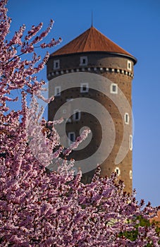 Tower of the Wawel Castle in flowers, Krakow, Poland