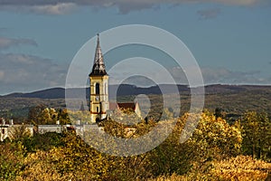 Veža kostola Zohor a za ňou Malé Karpaty