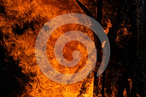 Towering Bonfire, Fiery Night