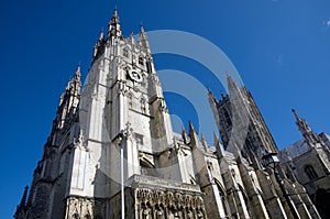 Towering canterbury