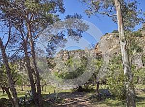 The Towering cliffs seen from the Sendero de Santo Walking trail from the forest floor on a hot sunny afternoon in Andalucia. photo