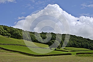 Towering Cumulus