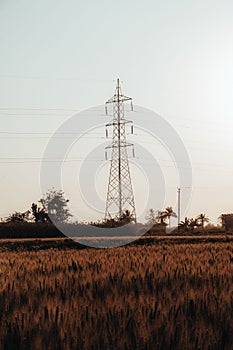 Towering electricity pylon situated in the center of a vast grassy area, surrounded by field