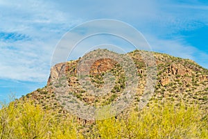 Towering mountain in sonora desert in tuscon arizona in sabino national park with rows cactuses in late afternoon sun