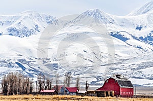 Towering Mountains Over a Montana Farm