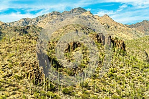 Towering mountains in sabino national park in the late afternoon dry season sun of tuscon arizona with blue sky