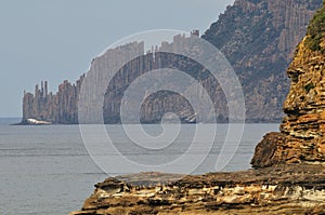 Towering Seacliffs at Tasman National Park