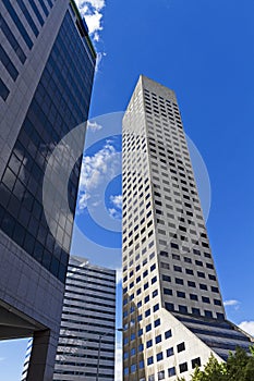 Towering skyscrapers in a city