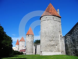 Towers photo