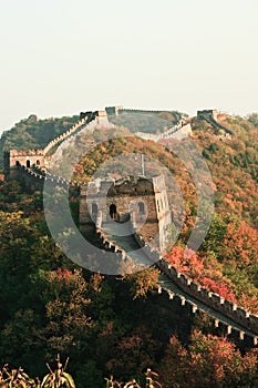 Towers in autumn